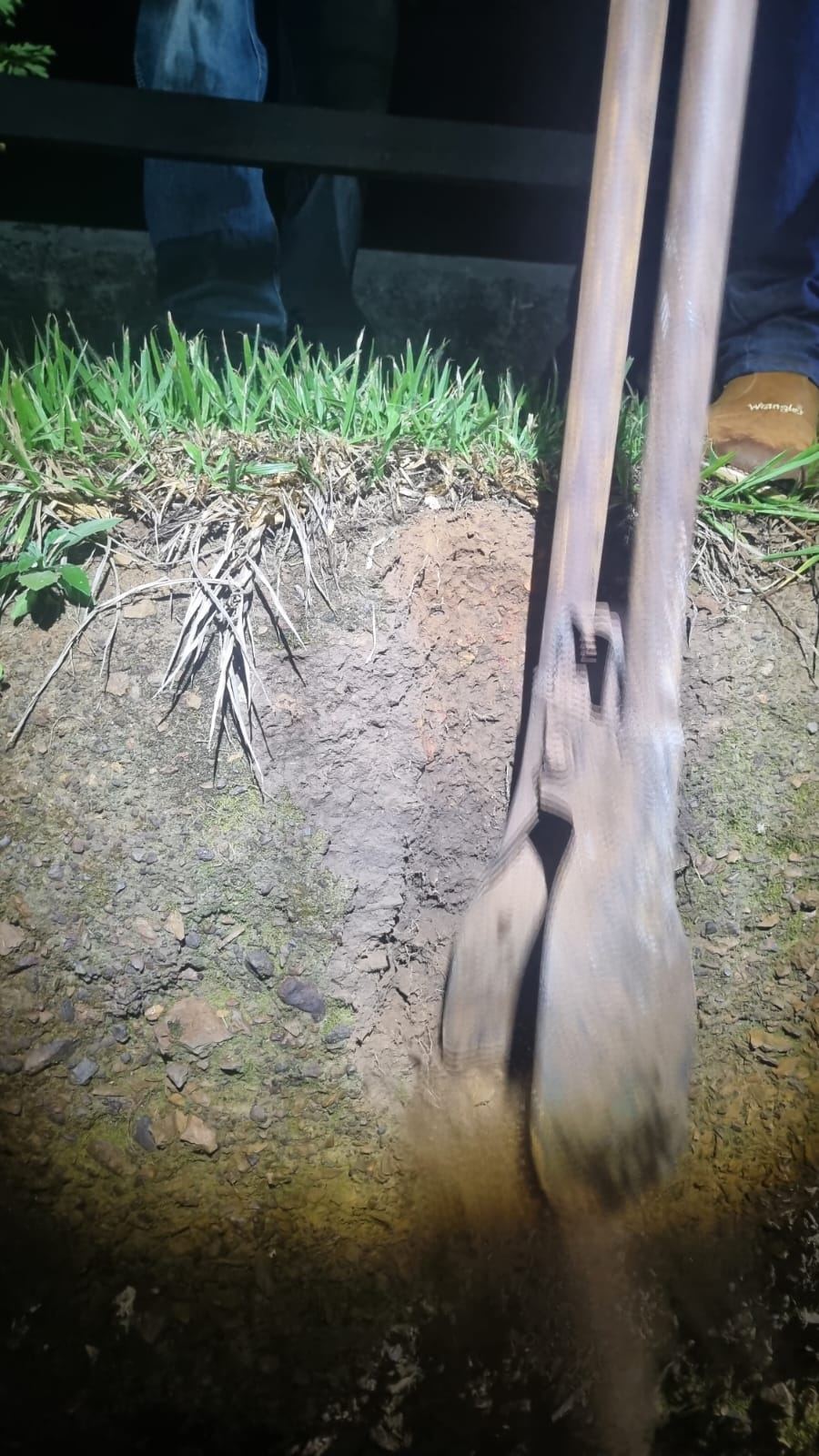 Foto 2